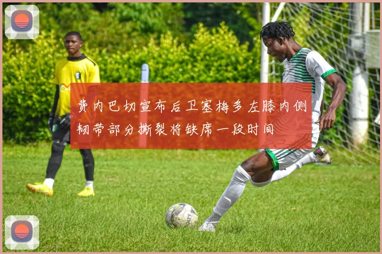 费内巴切宣布后卫塞梅多左膝内侧韧带部分撕裂将缺席一段时间