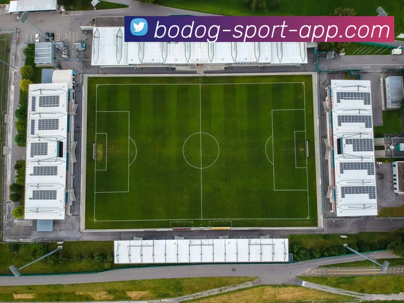 App Interface Preview