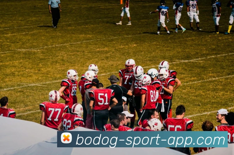 博狗体育APP 封面图