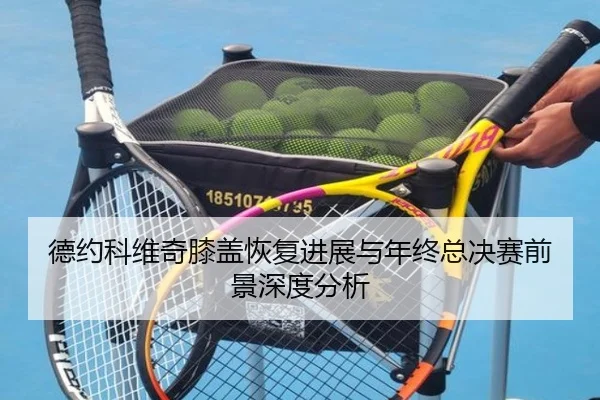 德约科维奇膝盖恢复进展与年终总决赛前景深度分析 - bogou