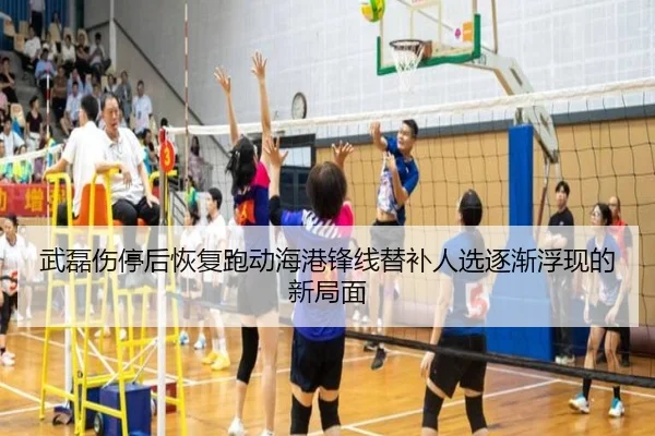 武磊伤停后恢复跑动海港锋线替补人选逐渐浮现的新局面 - bogou